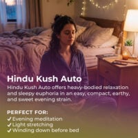 Hindu-Kush-Auto-highlight