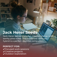 Jack-Herer-highlight