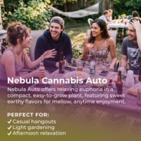 Nebula-Auto-highlight