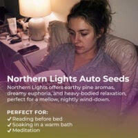 Northern-Lights-Auto-highlight