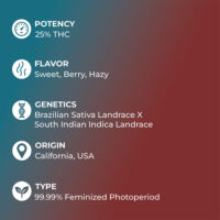 White-Widow-feature