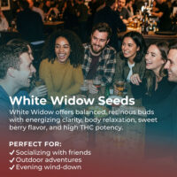 White-Widow-highlight